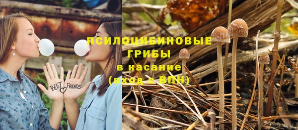 гидра Алексин