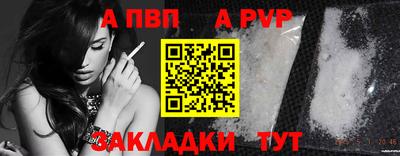 ECSTASY Кингисепп