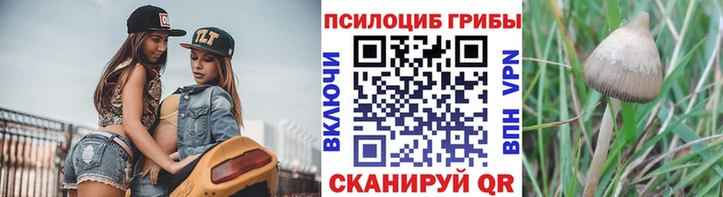 Галлюциногенные грибы Cubensis  гидра ссылка  Красноуфимск  продажа наркотиков 