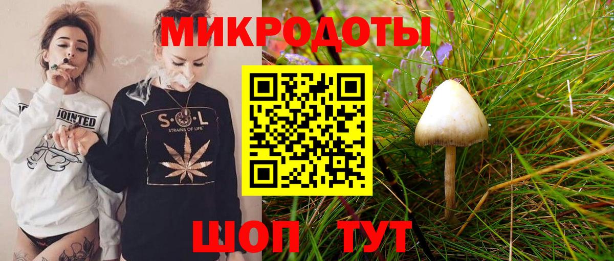 Галлюциногенные грибы мухоморы  Вход с VPN  Красноуфимск 